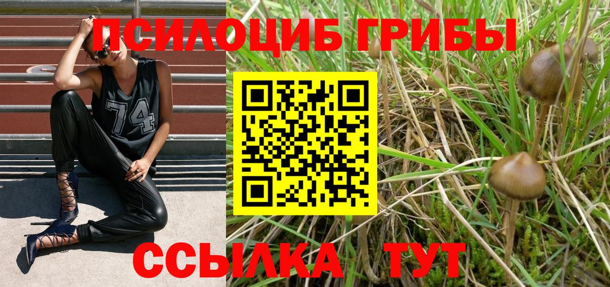 Галлюциногенные грибы мухоморы  Вход с VPN  Орёл 