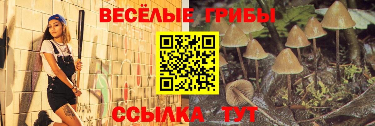 Псилоцибиновые грибы Psilocybine cubensis Орёл